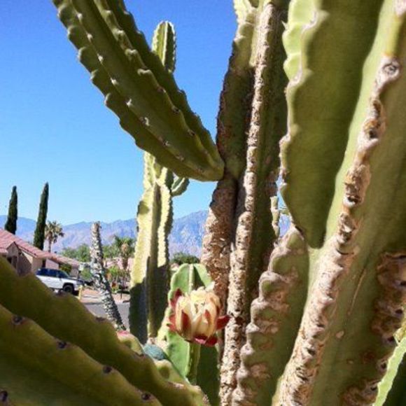 Meet your Posher, Crystal - Picture 1 of 1